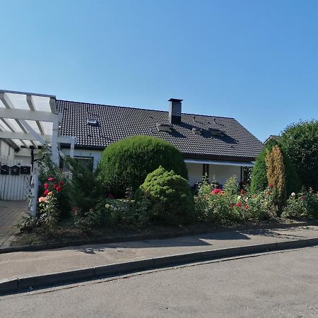 Apartment An Der Schweizer Grenze Laufenburg Exterior foto